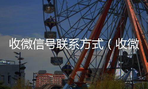 收微信号联系方式(收微信号的联系方式)