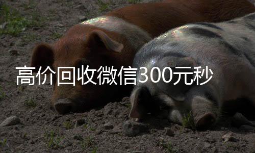 高价回收微信300元秒结(高价回收微信现结)