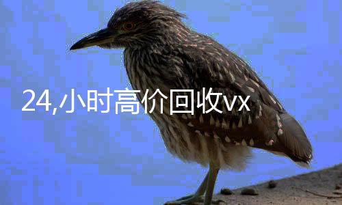 24,小时高价回收vx(高价回收vx平台)