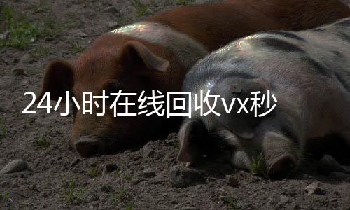 24小时在线回收vx秒结(回收vx秒结联系方式)