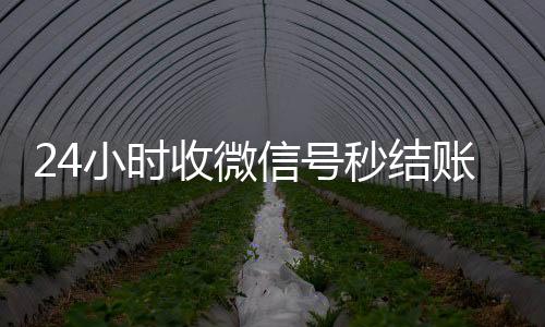 24小时收微信号秒结账(收微信号秒结款)